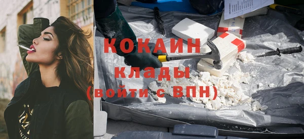 гашик Алзамай
