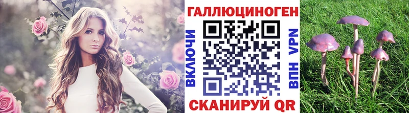 Псилоцибиновые грибы ЛСД  Аркадак 